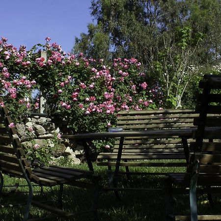 Il Vecchioliveto di Ornella Bed and Breakfast Marrùbiu Esterno foto