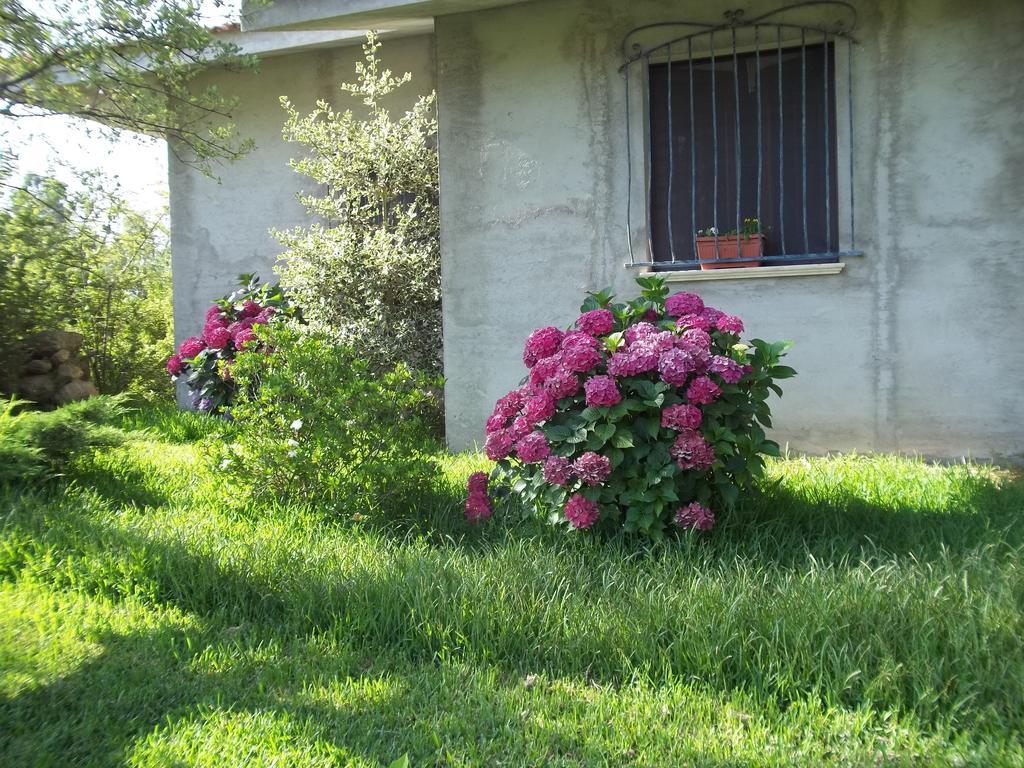 Il Vecchioliveto di Ornella Bed and Breakfast Marrùbiu Esterno foto