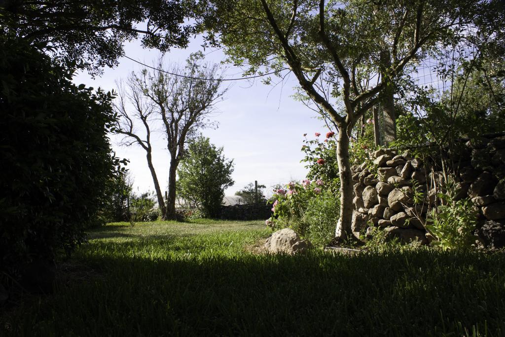 Il Vecchioliveto di Ornella Bed and Breakfast Marrùbiu Esterno foto