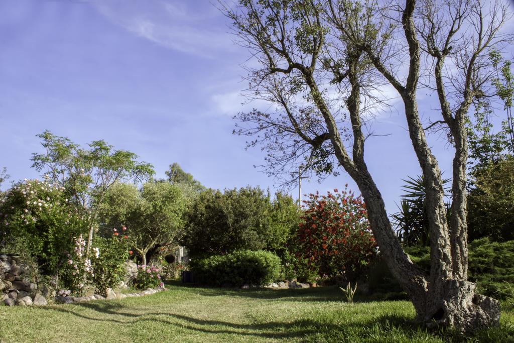 Il Vecchioliveto di Ornella Bed and Breakfast Marrùbiu Esterno foto