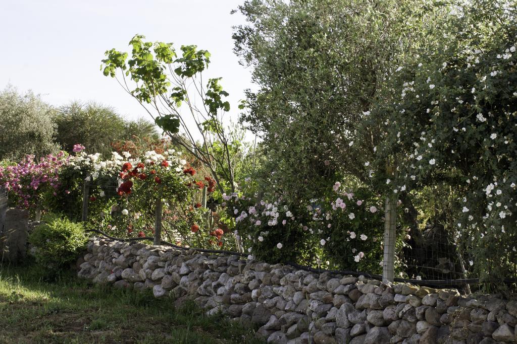 Il Vecchioliveto di Ornella Bed and Breakfast Marrùbiu Esterno foto