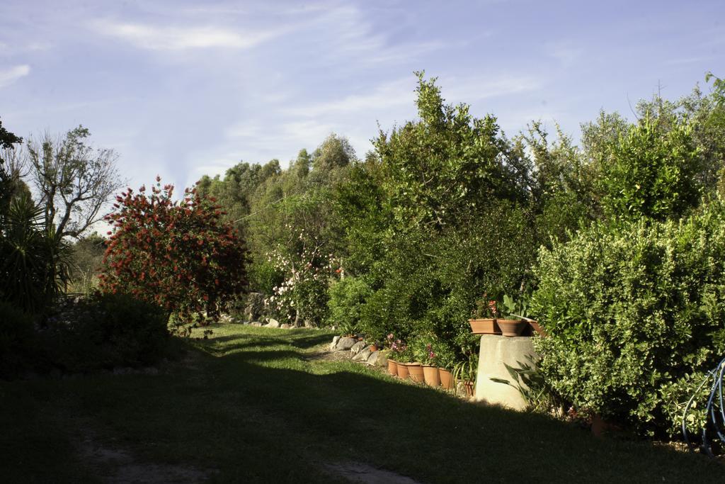 Il Vecchioliveto di Ornella Bed and Breakfast Marrùbiu Esterno foto