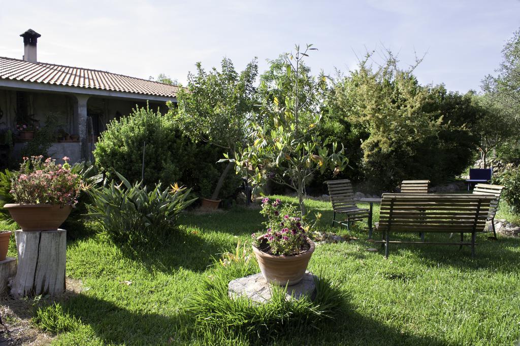 Il Vecchioliveto di Ornella Bed and Breakfast Marrùbiu Esterno foto